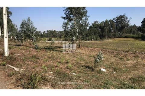 Helårsgrund i Barcelos, Braga, Barcelos - € 50.000 | Ref: PV08672 - foto 2