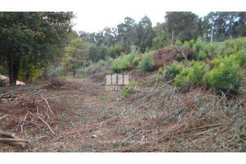 Helårsgrund i Venade e Azevedo, Viana do Castelo, Venade e Azevedo - € 120.000 | Ref: C01900(1) - foto 1
