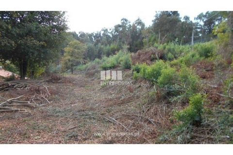 Helårsgrund i Venade e Azevedo, Viana do Castelo, Venade e Azevedo - € 120.000 | Ref: C01900(1) - foto 2