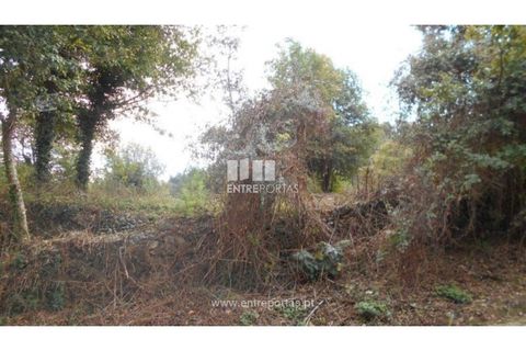 Helårsgrund i Venade e Azevedo, Viana do Castelo, Venade e Azevedo - € 120.000 | Ref: C01900(1) - foto 3
