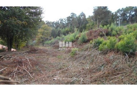 Helårsgrund i Venade e Azevedo, Viana do Castelo, Venade e Azevedo - € 120.000 | Ref: C01900(1) - foto 4