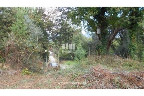 Helårsgrund i Venade e Azevedo, Viana do Castelo, Venade e Azevedo - € 120.000 | Ref: C01900(1) - foto 5
