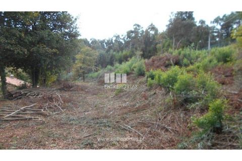 Helårsgrund i Venade e Azevedo, Viana do Castelo, Venade e Azevedo - € 120.000 | Ref: C01900(1) - foto 6