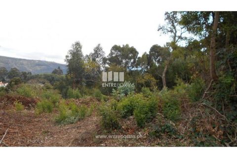 Helårsgrund i Venade e Azevedo, Viana do Castelo, Venade e Azevedo - € 120.000 | Ref: C01900(1) - foto 7