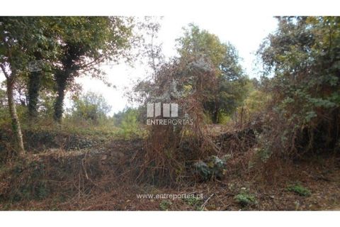 Helårsgrund i Venade e Azevedo, Viana do Castelo, Venade e Azevedo - € 120.000 | Ref: C01900(1) - foto 8