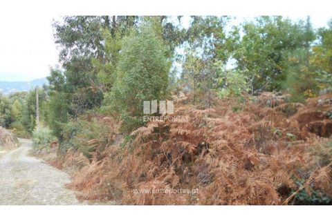 Helårsgrund i Venade e Azevedo, Viana do Castelo, Venade e Azevedo - € 120.000 | Ref: C01900(1) - foto 9