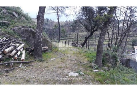 Tomt i Gestaco, Porto, Gestaco - € 67 000 | Ref: MC08514 - foto 2