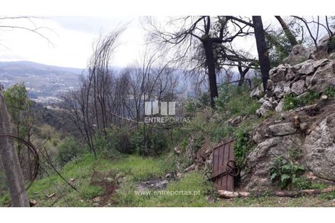 Tomt i Gestaco, Porto, Gestaco - € 67 000 | Ref: MC08514 - foto 4