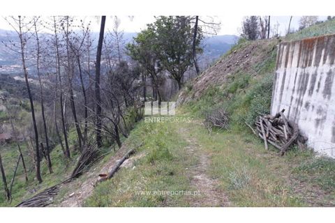 Tomt i Gestaco, Porto, Gestaco - € 67 000 | Ref: MC08514 - foto 8