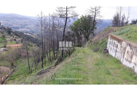 Tomt i Gestaco, Porto, Gestaco - € 67 000 | Ref: MC08514 - foto 10
