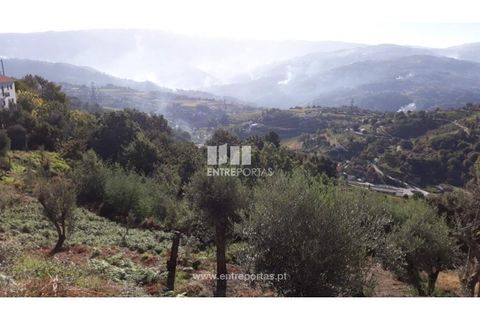 Tomt i Loivos do Monte, Porto, Loivos do Monte - € 25 500 | Ref: MC08483 - foto 2