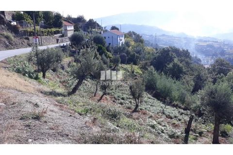 Tomt i Loivos do Monte, Porto, Loivos do Monte - € 25 500 | Ref: MC08483 - foto 4