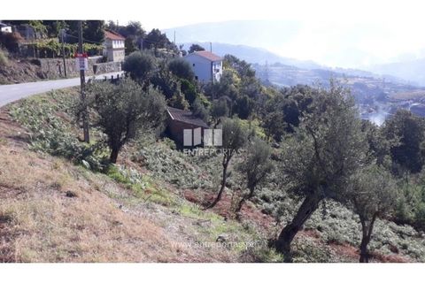 Tomt i Loivos do Monte, Porto, Loivos do Monte - € 25 500 | Ref: MC08483 - foto 5