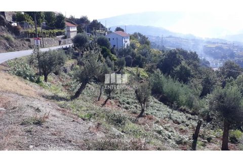 Tomt i Loivos do Monte, Porto, Loivos do Monte - € 25 500 | Ref: MC08483 - foto 6