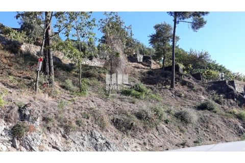 Helårsgrund i Loivos do Monte, Porto, Loivos do Monte - € 25.500 | Ref: MC08484 - foto 1