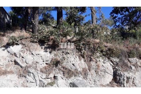 Helårsgrund i Loivos do Monte, Porto, Loivos do Monte - € 25.500 | Ref: MC08484 - foto 2