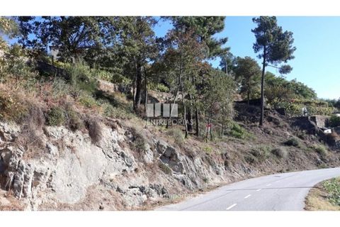 Helårsgrund i Loivos do Monte, Porto, Loivos do Monte - € 25.500 | Ref: MC08484 - foto 3