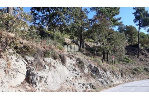 Helårsgrund i Loivos do Monte, Porto, Loivos do Monte - € 25.500 | Ref: MC08484 - foto 4