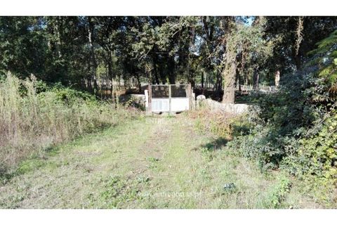 Helårsgrund i Darque, Viana do Castelo, Darque - € 180.000 | Ref: VCC12599 - foto 10