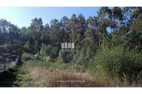 Helårsgrund i Darque, Viana do Castelo, Darque - € 180.000 | Ref: VCC12599 - foto 15