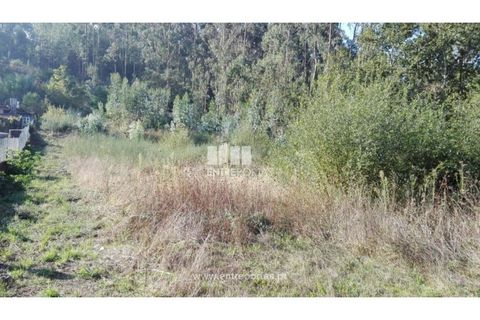Helårsgrund i Darque, Viana do Castelo, Darque - € 180.000 | Ref: VCC12599 - foto 17
