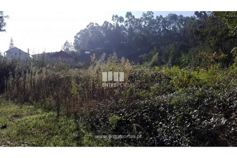 Helårsgrund i Darque, Viana do Castelo, Darque - € 180.000 | Ref: VCC12599 - foto 18