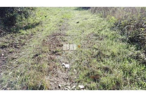 Helårsgrund i Darque, Viana do Castelo, Darque - € 180.000 | Ref: VCC12599 - foto 24