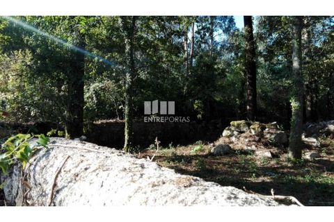 Helårsgrund i Darque, Viana do Castelo, Darque - € 180.000 | Ref: VCC12599 - foto 25