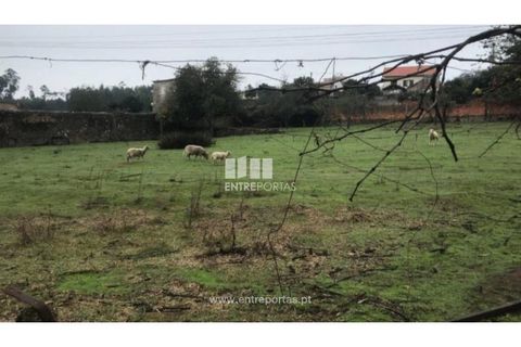 Helårsgrund i Terroso, Porto, Terroso - € 134.000 | Ref: PV08743 - foto 2