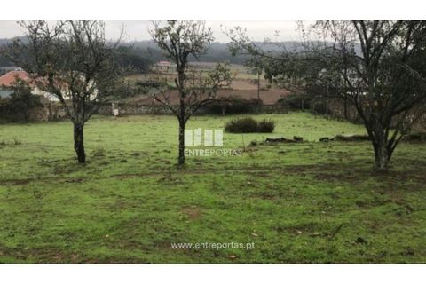 Helårsgrund i Terroso, Porto, Terroso - € 134.000 | Ref: PV08743 - foto 3