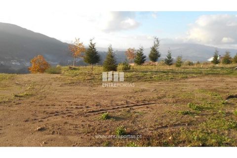 Helårsgrund i Ponte de Lima, Viana do Castelo, Ponte de Lima - € 86.000 | Ref: VCC12652 - foto 2