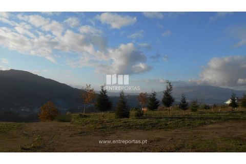 Helårsgrund i Ponte de Lima, Viana do Castelo, Ponte de Lima - € 86.000 | Ref: VCC12652 - foto 15