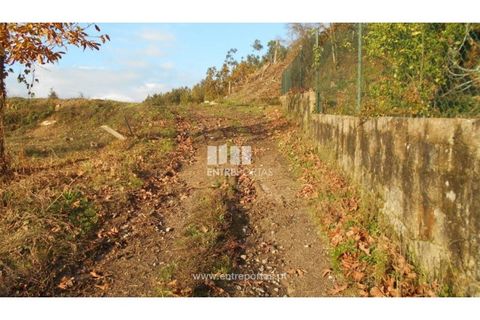 Helårsgrund i Ponte de Lima, Viana do Castelo, Ponte de Lima - € 86.000 | Ref: VCC12652 - foto 17