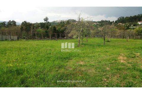Helårsgrund i Vila Verde, Braga, Vila Verde - € 160.000 | Ref: VCC12831 - foto 15