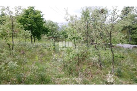 Tomt i Gestaco, Porto, Gestaco - € 50 000 | Ref: MC08655 - foto 2