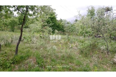 Tomt i Gestaco, Porto, Gestaco - € 50 000 | Ref: MC08655 - foto 4