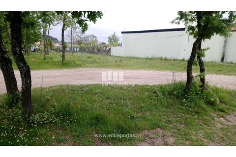 Tomt i Gestaco, Porto, Gestaco - € 50 000 | Ref: MC08655 - foto 6