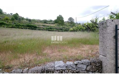 Helårsgrund i Gestaco, Porto, Gestaco - € 35.000 | Ref: MC08656 - foto 2