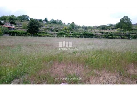 Helårsgrund i Gestaco, Porto, Gestaco - € 35.000 | Ref: MC08656 - foto 3