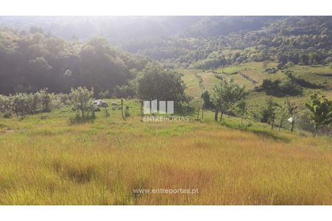 Helårsgrund i Loivos do Monte, Porto, Loivos do Monte - € 17.000 | Ref: MC08665 - foto 3