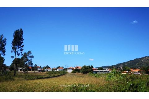 Terra a Barroselas, Viana do Castelo, Barroselas - € 110.000 | Ref: VCM12769 - foto 5
