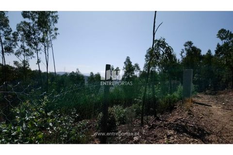Helårsgrund i Baiao, Porto, Baiao - € 20.000 | Ref: MC08754 - foto 2