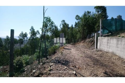 Helårsgrund i Baiao, Porto, Baiao - € 20.000 | Ref: MC08754 - foto 3