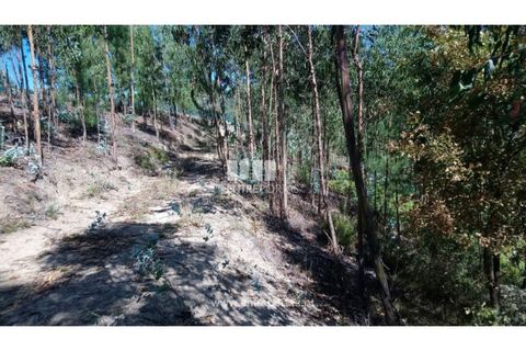 Helårsgrund i Baiao, Porto, Baiao - € 20.000 | Ref: MC08754 - foto 4
