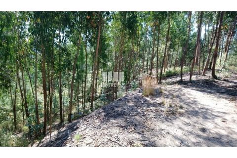 Helårsgrund i Baiao, Porto, Baiao - € 20.000 | Ref: MC08754 - foto 9