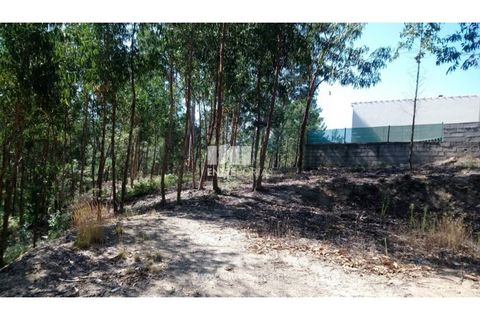 Helårsgrund i Baiao, Porto, Baiao - € 20.000 | Ref: MC08754 - foto 10
