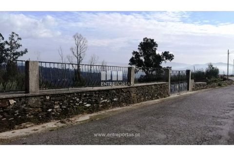 Helårsgrund i Viana do Castelo, Viana do Castelo, Viana do Castelo - € 66.000 | Ref: VCM12879 - foto 9