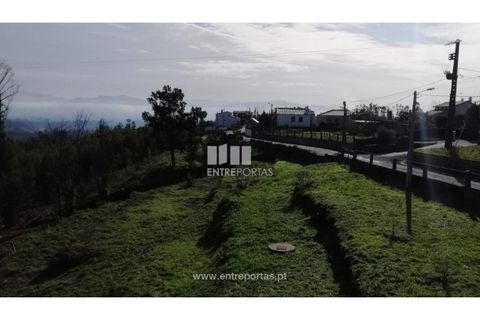 Helårsgrund i Viana do Castelo, Viana do Castelo, Viana do Castelo - € 66.000 | Ref: VCM12879 - foto 18