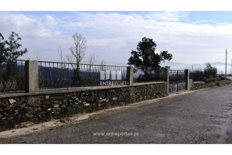 Helårsgrund i Viana do Castelo, Viana do Castelo, Viana do Castelo - € 66.000 | Ref: VCM12879 - foto 19
