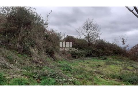 Helårsgrund i Amarante, Porto, Amarante - € 33.000 | Ref: MC08863 - foto 14